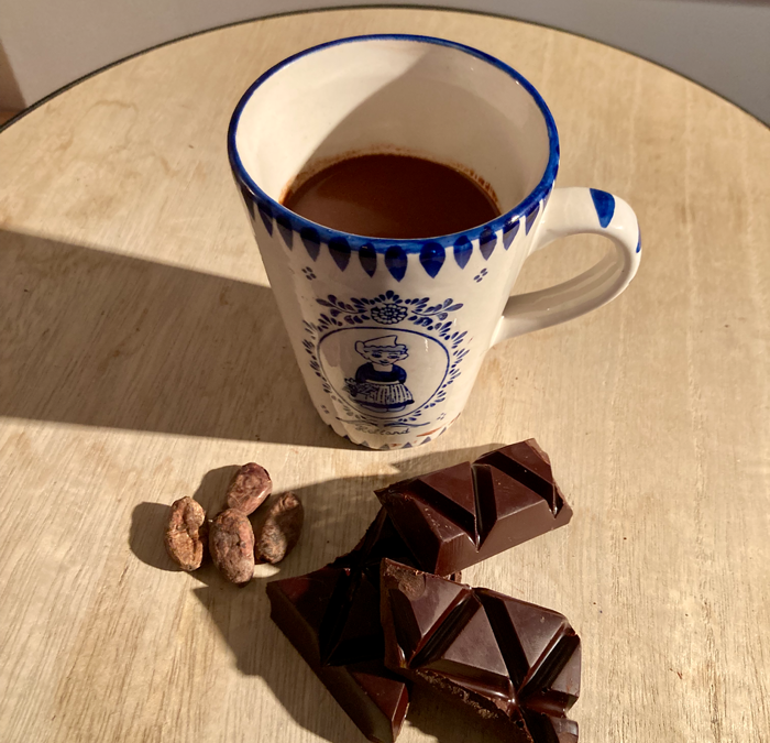 Cacao, het plantmedicijn voor hart, geest en lichaam